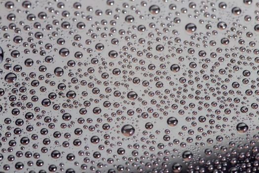 many small water drops on the surface of cellphone hydriphobic coated glass screen, close-up with selective focus and visible subpixel rgb triads
