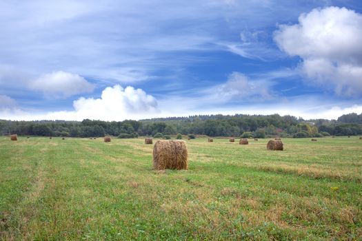 Beautiful rustic landscape with hay rolls on cultivate field under blue sky with white clouds in hot summer day