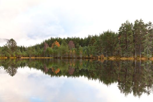 Cairngorms National Park: Uath Lochan in autumn, Kincraig, Scotland, UK