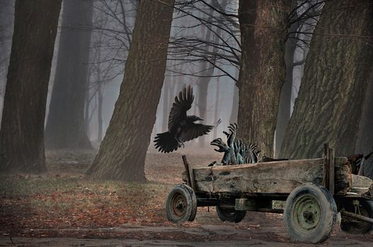 Spooky forest with flying crow, carriage of the dead and trees. Mysterious forest with crow on the night. Scary Halloween concept. Photo manipulation