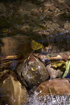 Small leaf falling down a small waterfall, Transparent water, rock, clarity