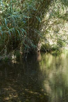 River of transparent waters among the vegetation. idyllic, long exposure