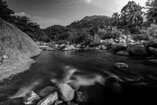 River stone and tree colorful, View water river tree, Stone river in multi color tree leaf in forest, Black and white and monochrome style