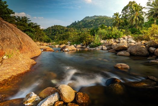 River stone and tree colorful, View water river tree, Stone river in multi color tree leaf in forest