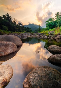 River stone and tree with sky and cloud colorful, View water river tree, Stone river and tree leaf in forest