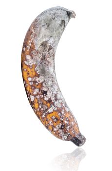 Rootten banana isolated on white background, Clipping paths