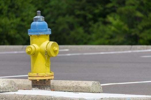 Horizontal shot of an old yellow and blue fire hydrant with copy space.