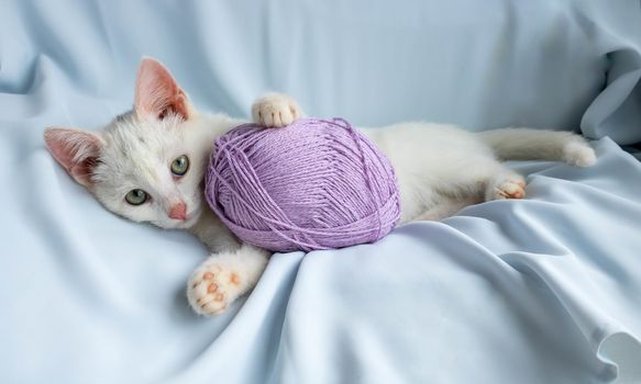 Kitten playing lying down, biting a ball of thread