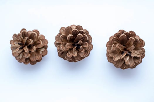 Christmas composition on a white background. A group of cones, large and small.