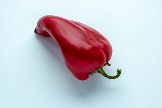 Red hot pepper on white background. Vibrant color