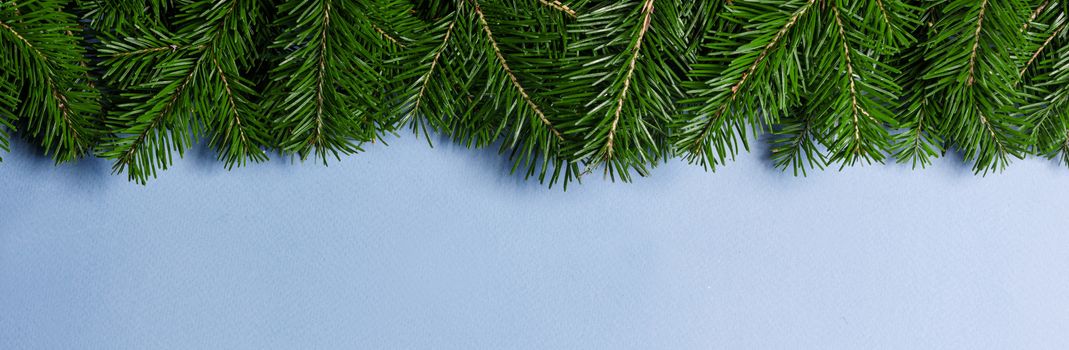 Christmas fir tree border fame on blue background with copy space for text