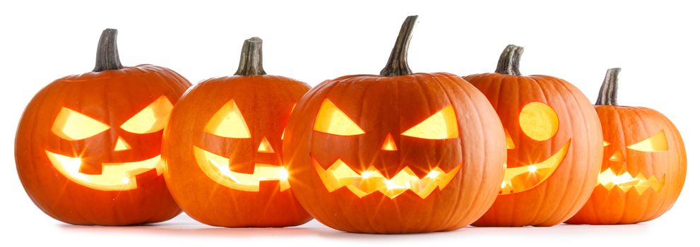 Five Halloween Pumpkins isolated on white background