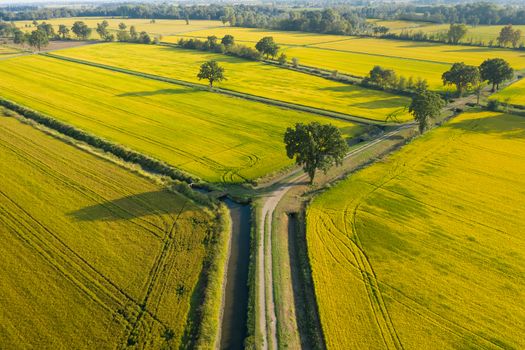 Aerial view of rice fields, North of Italy.