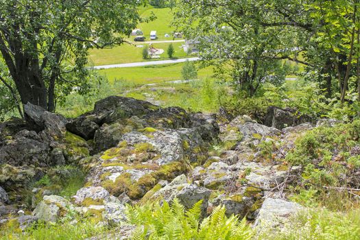 Beautiful Norwegian landscape with trees firs mountains and rocks. Norway Nature.