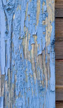 Blue old paint on the Board. Wooden background made of old boards. The texture of an old rustic wooden fence made of flat processed boards. Background design