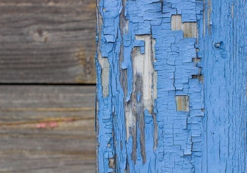 Blue old paint on the Board. Wooden background made of old boards. The texture of an old rustic wooden fence made of flat processed boards. Background design