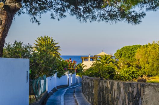 Typical narrow street of stromboli island surrounded by its vegetation and sloping towards the coast of the Tyrrhenian Sea