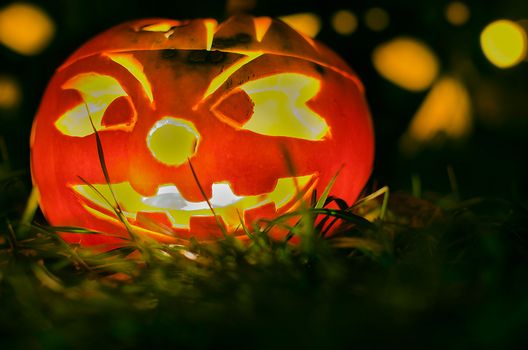 Funny Halloween holiday pumpkin jack lantern on autumn grass. Glowing faces trick or treat. Festive squash for party night. All Saints Day