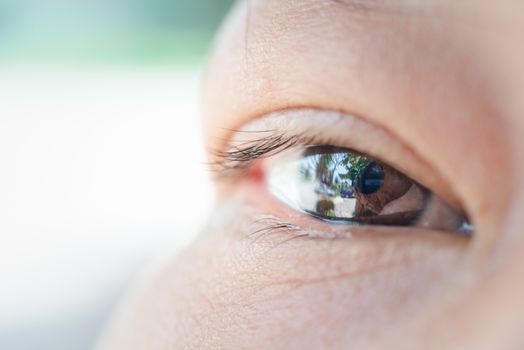 Macro of eye or eyeball black color of asian woman with eyebrow, eyelash and eyelid in concept eye health and vision in life