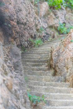 Scales in the Beautiful Cala Futadera beach is one of the few remaining natural unspoiled beaches on the Costa Brava, Catalonia, Spain.