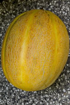 Close-up photo of a fresh ripe whole melon, Sofia, Bulgaria