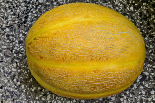 Close-up photo of a fresh ripe whole melon, Sofia, Bulgaria