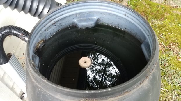 mosquito tablet insecticide floating in rain barrel with water