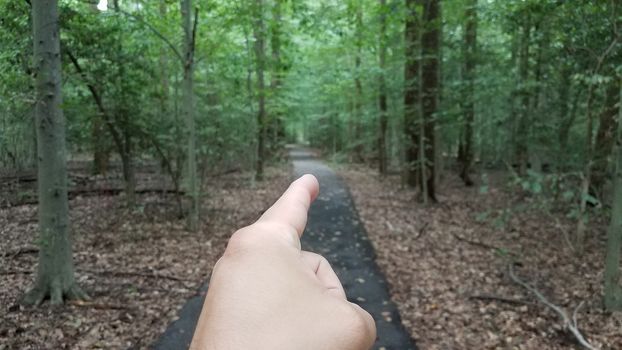 finger pointing with asphalt trail or path in forest or woods