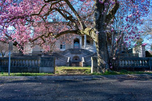 An Intricate Courtyard With A Cherry Blossom Tree in Front of it at Elkins Estate