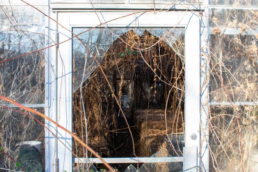 Looking Inside a Broken Glass Door At An Abadoned Greenhouse Full of Dead Vines in Suburban Pennsylvania