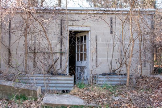 An Abandnoned Concrete Building With the Door Slightly Open and Dead Vines Climbing up the Walls