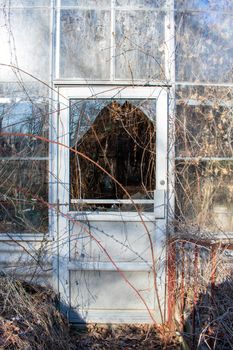 Looking Inside a Broken Glass Door At An Abadoned Greenhouse Full of Dead Vines in Suburban Pennsylvania