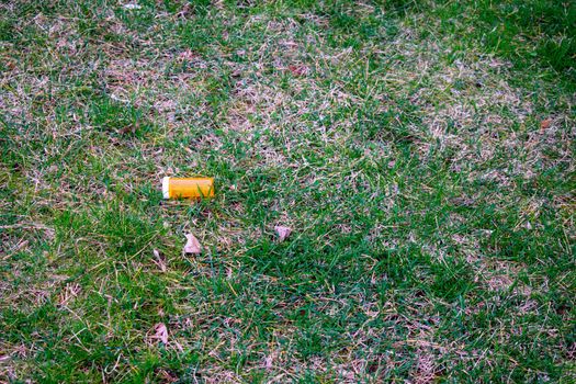 An Orange Prescription Pill Bottle in a Field of Green Grass