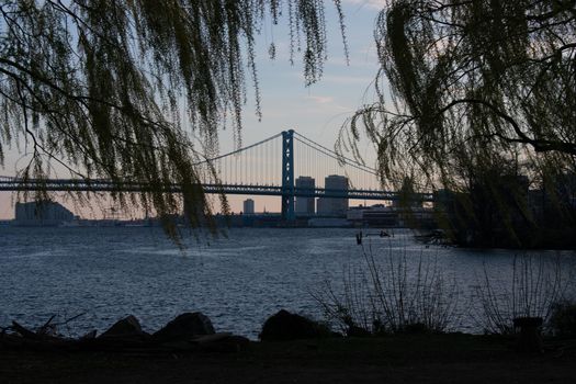 Looking Through Bright Green Trees at the Ben Franklin Bridge From the Newly Renovated Penn Treaty Park