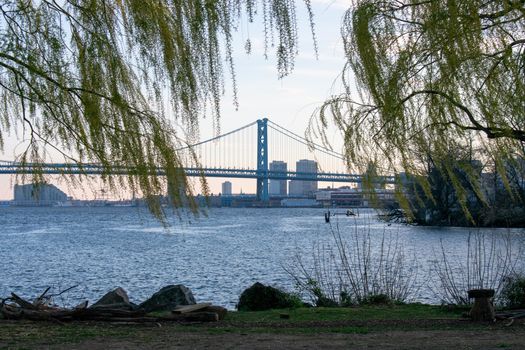 Looking Through Bright Green Trees at the Ben Franklin Bridge From the Newly Renovated Penn Treaty Park