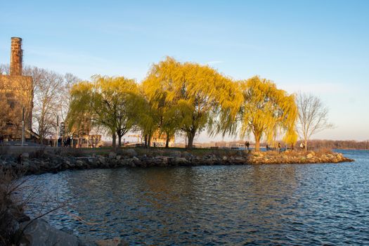 Looking Over a Small PArt of the Deleware River at Green Trees in Sunset Light at the Newly Renovated Penn Treaty Park