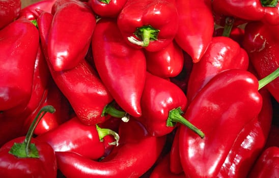 Sweet red ripe peppers on the market counter. A large number of red peppers in a stack, selective focus.