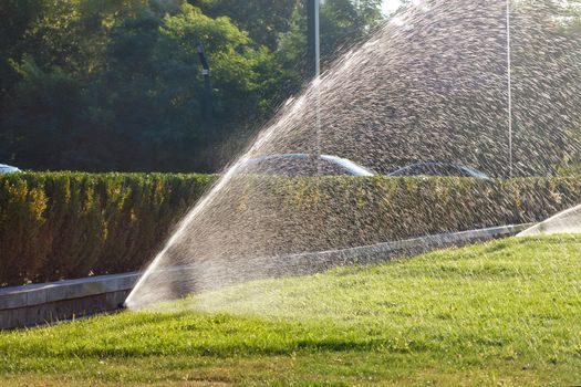 Beautiful spray of water in the backlight of the evening sun created by a powerful sprinkler system for watering the green lawn, space for text.