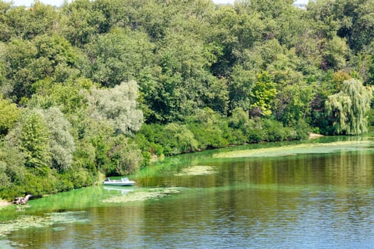 The beautiful bay of the Dnipro with the banks overgrown with reeds, a fishing boat moored to the shore