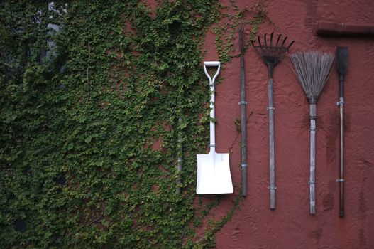 The gardening tools hanging on red cement wall.