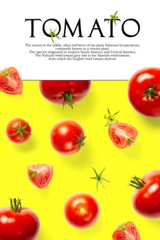Creative layout made of tomato on the yellow background. Creative flat lay set of tomatoes with simple text on white background, copy space. tomato theme decoration design or vegetarianism concept.