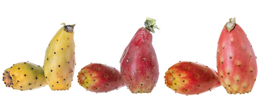 Various peeled cactus fruit, opuntia isolated on a white background