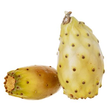 Various peeled cactus fruit, opuntia isolated on a white background