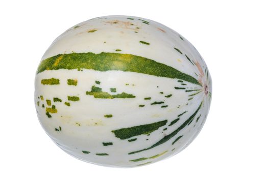 Fresh, juicy white dino melon isolated on a white background.