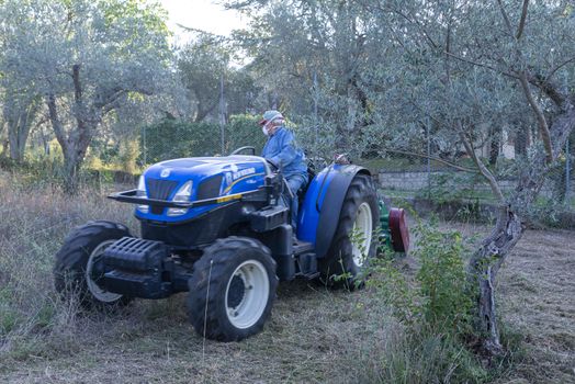 terni,italy september 13 2020:shredding with tractor and stalk chopper of olive fields