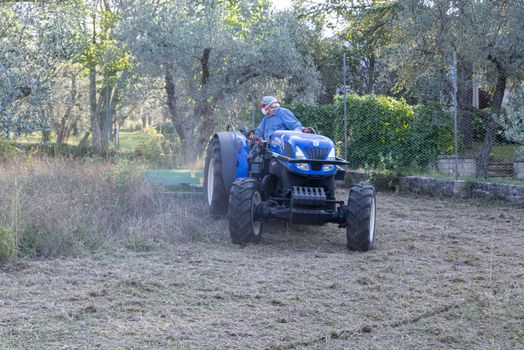 terni,italy september 13 2020:shredding with tractor and stalk chopper of olive fields