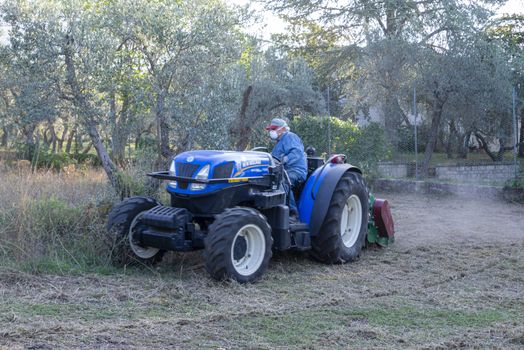 terni,italy september 13 2020:shredding with tractor and stalk chopper of olive fields