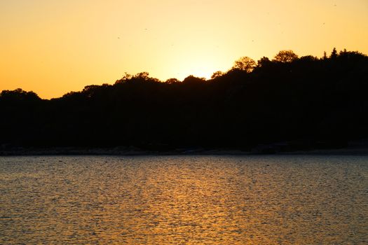 the sun setting behind the forest is reflected in the dark sea water.