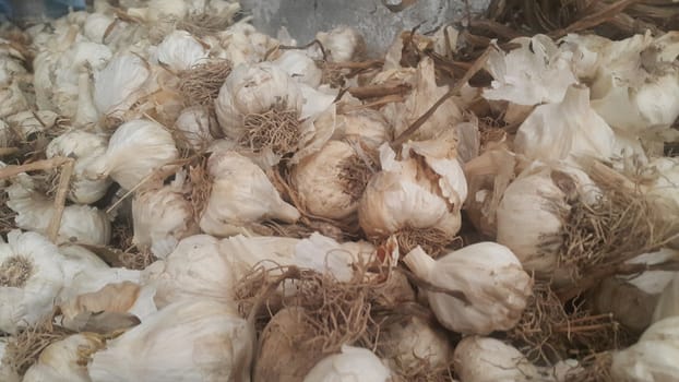 Garlic is aromatic and flavorful herb for consumption and use in spices and for medicinal purposes. Close-up view of dry garlic bulbs background.