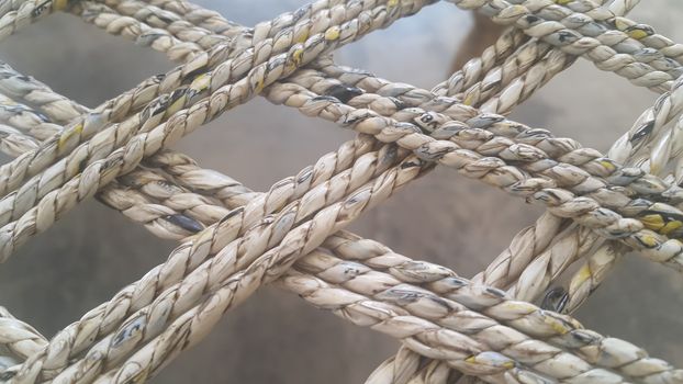 Closeup view of dried jute thread or ropes interwoven for making traditional old style bed called charpai